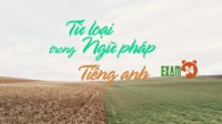 Từ loại trong Ngữ pháp Tiếng Anh