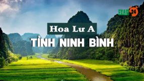 Đề thi thử tiếng Anh trường THPT Hoa Lư A - Ninh Bình lần 1 - 2018 có đáp án