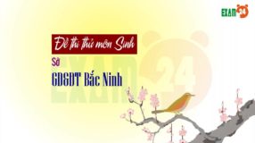 GIẢI CHI TIẾT Đề thi thử môn Sinh Sở GDDT - Bắc Ninh lần 1 - 2018