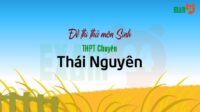 GIẢI CHI TIẾT Đề thi thử Sinh THPT Chuyên Thái Nguyên lần 1 - 2018