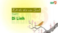 Đề thi thử môn Sinh trường THPT Di Linh - Lâm Đồng lần 1 - 2018