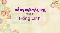 Đề thi thử môn Sinh trường THPT Hồng Lĩnh - Hà Tĩnh lần 1 - 2018