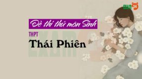 GIẢI CHI TIẾT Đề thi thử môn Sinh trường THPT Thái Phiên - Hải Phòng lần 1 - 2019