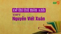 Đề thi thử môn Anh trường THPT Nguyễn Viết Xuân - Vĩnh Phúc lần 3 - 2019