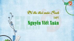 Đề thi thử môn Sinh THPT Nguyễn Viết Xuân - Vĩnh Phúc lần 3 - 2019