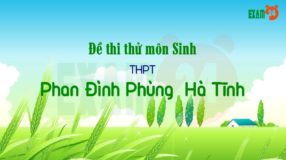Đề thi thử môn Sinh THPT Phan Đình Phùng - Hà Tĩnh lần 1- 2019