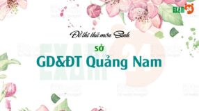 GIẢI CHI TIẾT đề thi thử môn Sinh 2019 sở GD&ĐT Quảng Nam lần 1