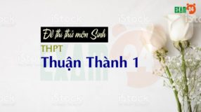Đề thi thử môn Sinh 2019 THPT Thuận Thành 1 - Bắc Ninh lần 2