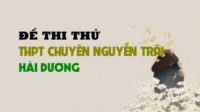Đề thi thử môn Sinh trường THPT Chuyên Nguyễn Trãi - Hải Dương lần 1 - 2019