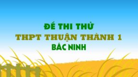 Đề thi thử môn Anh trường THPT Thuận Thành 1 - Bắc Ninh lần 2 - 2019