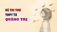 Đề thi thử môn Anh trường THPT TX Quảng Trị - lần 1 - 2019
