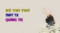 Đề thi thử môn Sinh trường THPT TX Quảng Trị - lần 1 - 2019