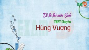 GIẢI CHI TIẾT đề thi thử môn Sinh 2019 THPT Chuyên Hùng Vương - Gia Lai