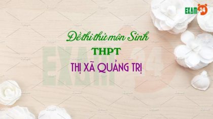 Đề thi thử môn Sinh 2019 THPT Thị xã Quảng Trị lần 2
