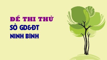 GIẢI CHI TIẾT Đề thi thử môn Sinh Sở GD&ĐT Ninh Bình - lần 2 - 2019