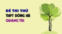 Đề thi thử môn Sinh trường THPT Đông Hà - Quảng Trị lần 2 - 2019