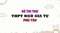 Đề thi thử môn Anh trường THPT Ngô Gia Tự - Phú Yên lần 2 - 2019