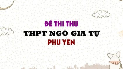Đề thi thử môn Anh trường THPT Ngô Gia Tự - Phú Yên lần 2 - 2019