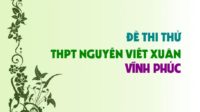 Đề thi thử môn Sinh trường THPT Nguyễn Viết Xuân - Vĩnh Phúc lần 4 - 2019