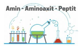 Chuyên đề Amin - Amino Axit - Protein - Trắc nghiệm có lời giải