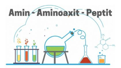 Chuyên đề Amin - Amino Axit - Protein - Trắc nghiệm có lời giải