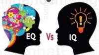 Phân biệt EQ và IQ - Bạn biết gì về mối quan hệ của 2 chỉ số này